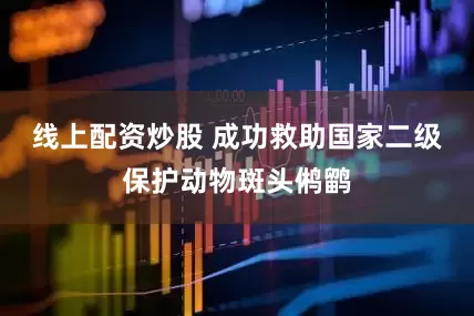 线上配资炒股 成功救助国家二级保护动物斑头鸺鹠